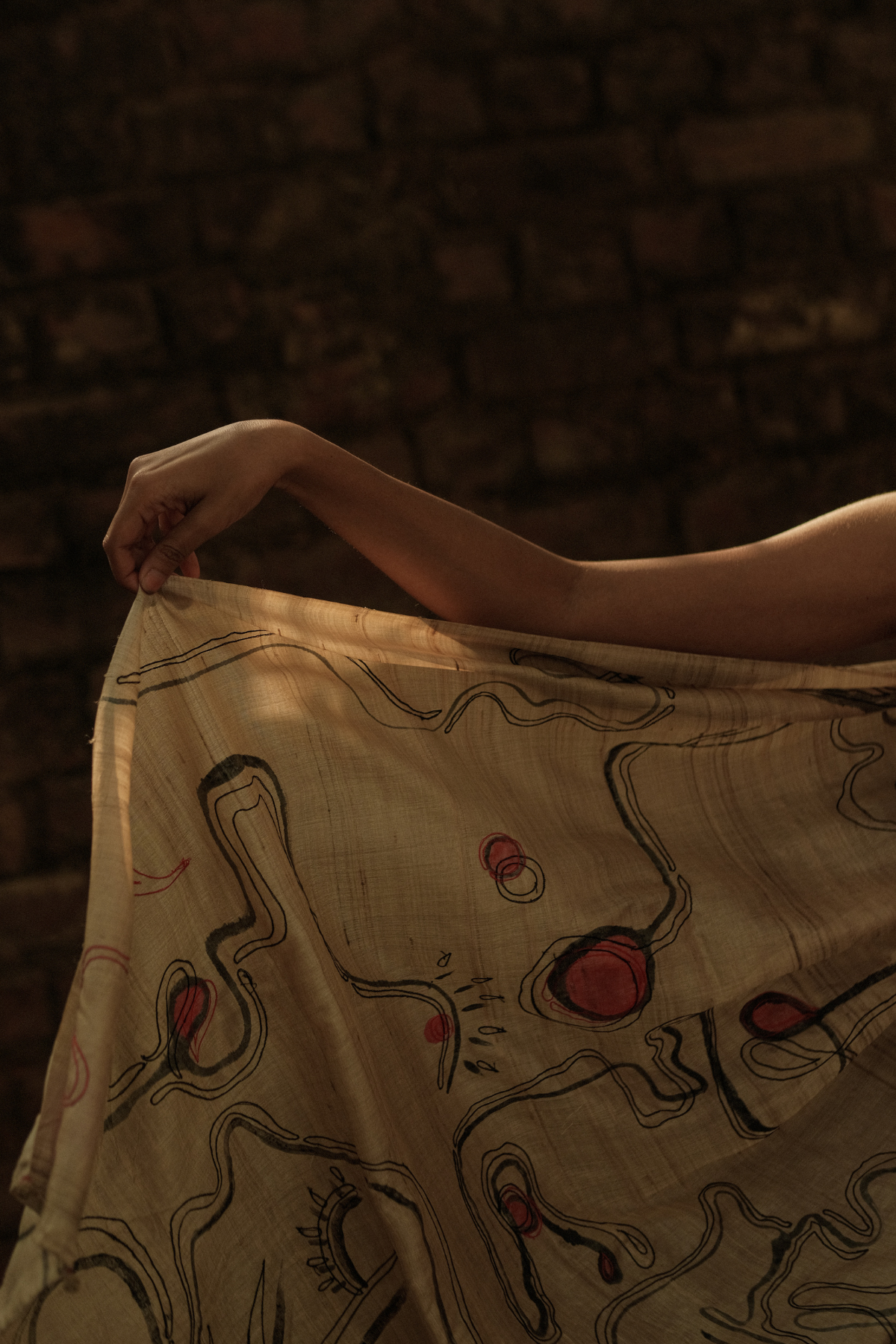 Emotions saree