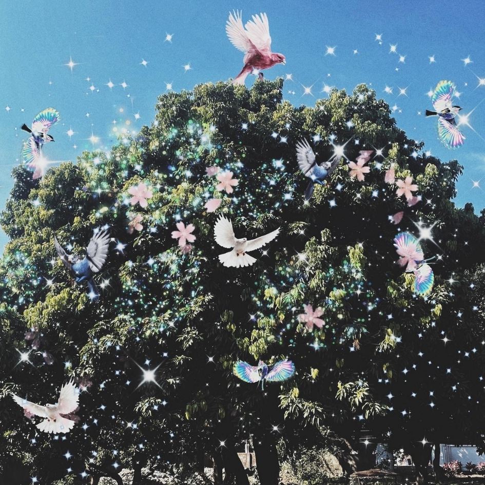 THE ENCHANTED TREE PRINT