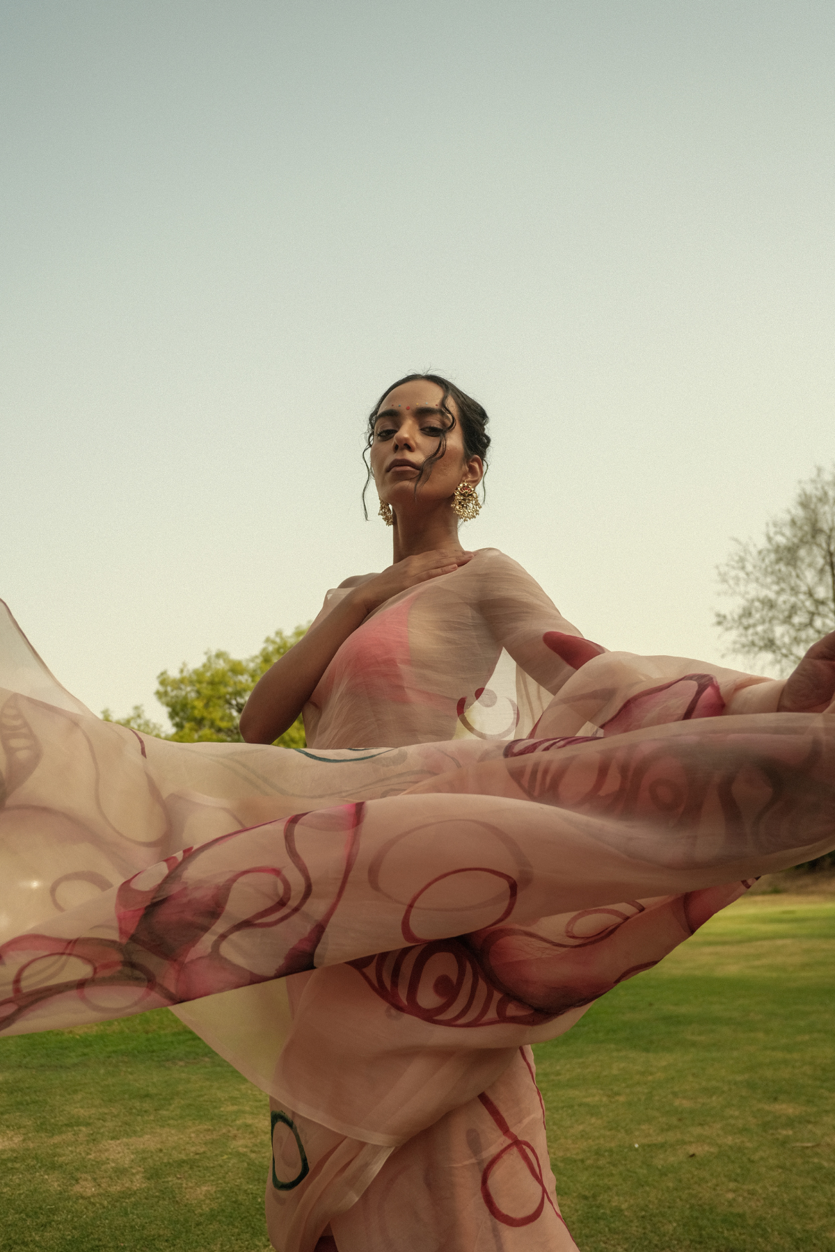 Hibiscus organza saree