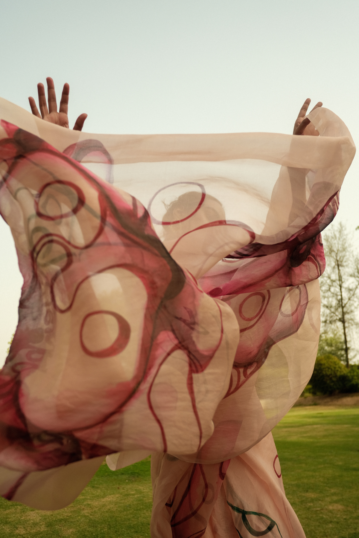 Hibiscus organza saree
