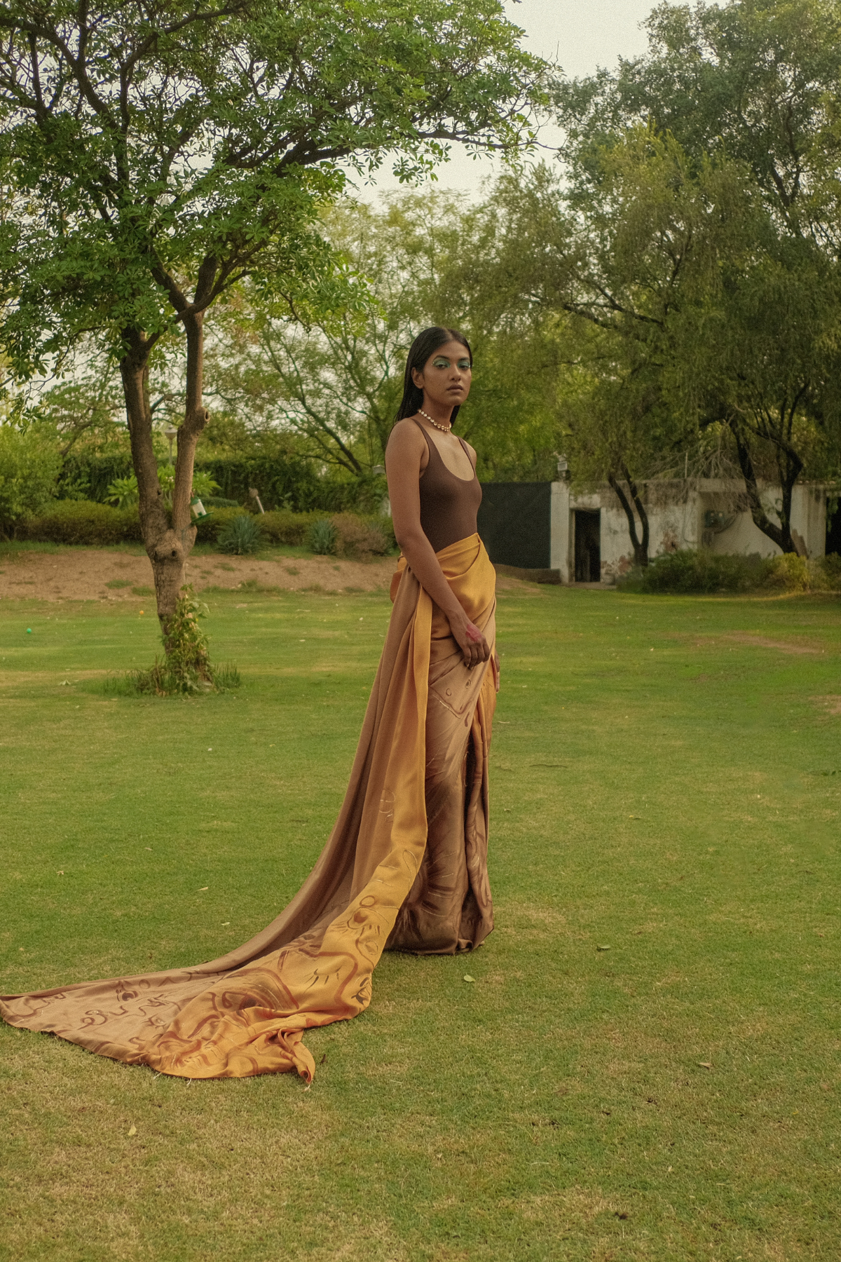 Bronze goddess saree