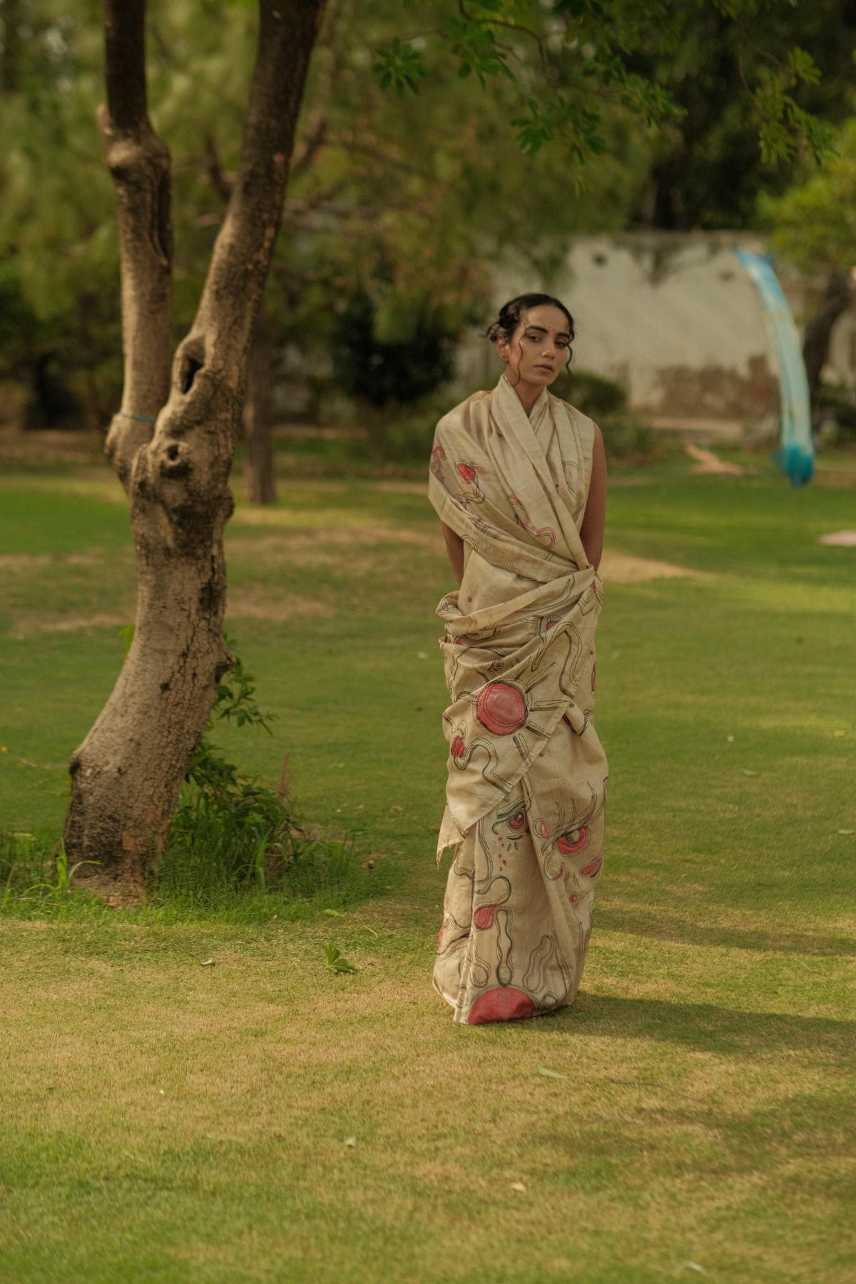 Emotions saree