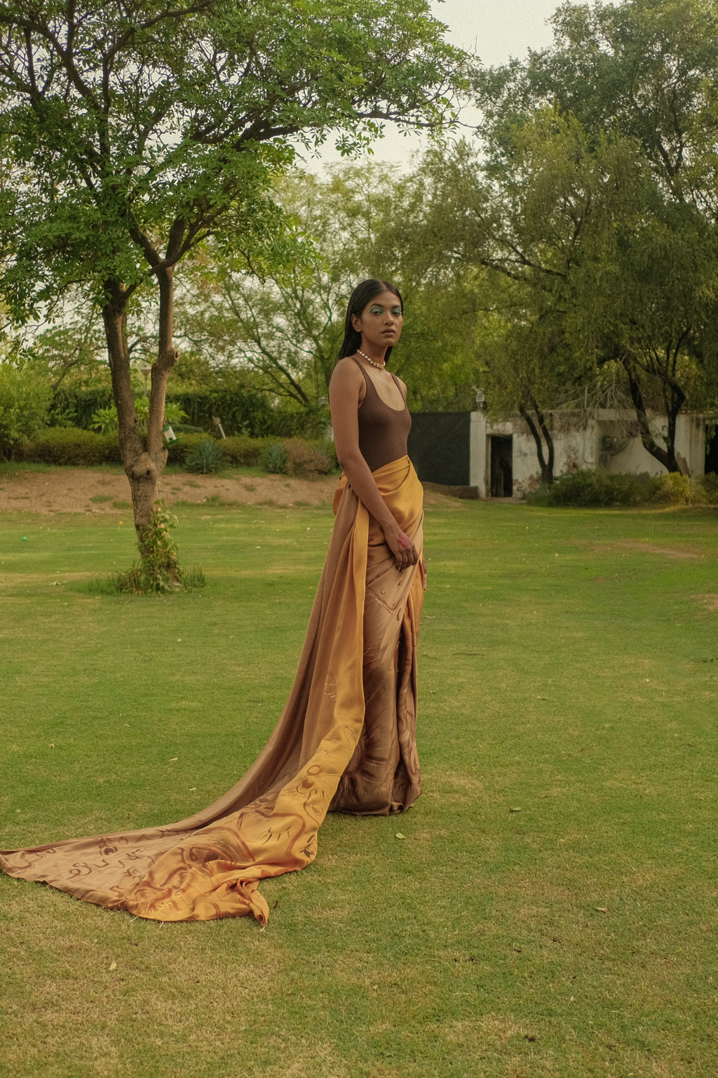 Bronze Goddess Saree