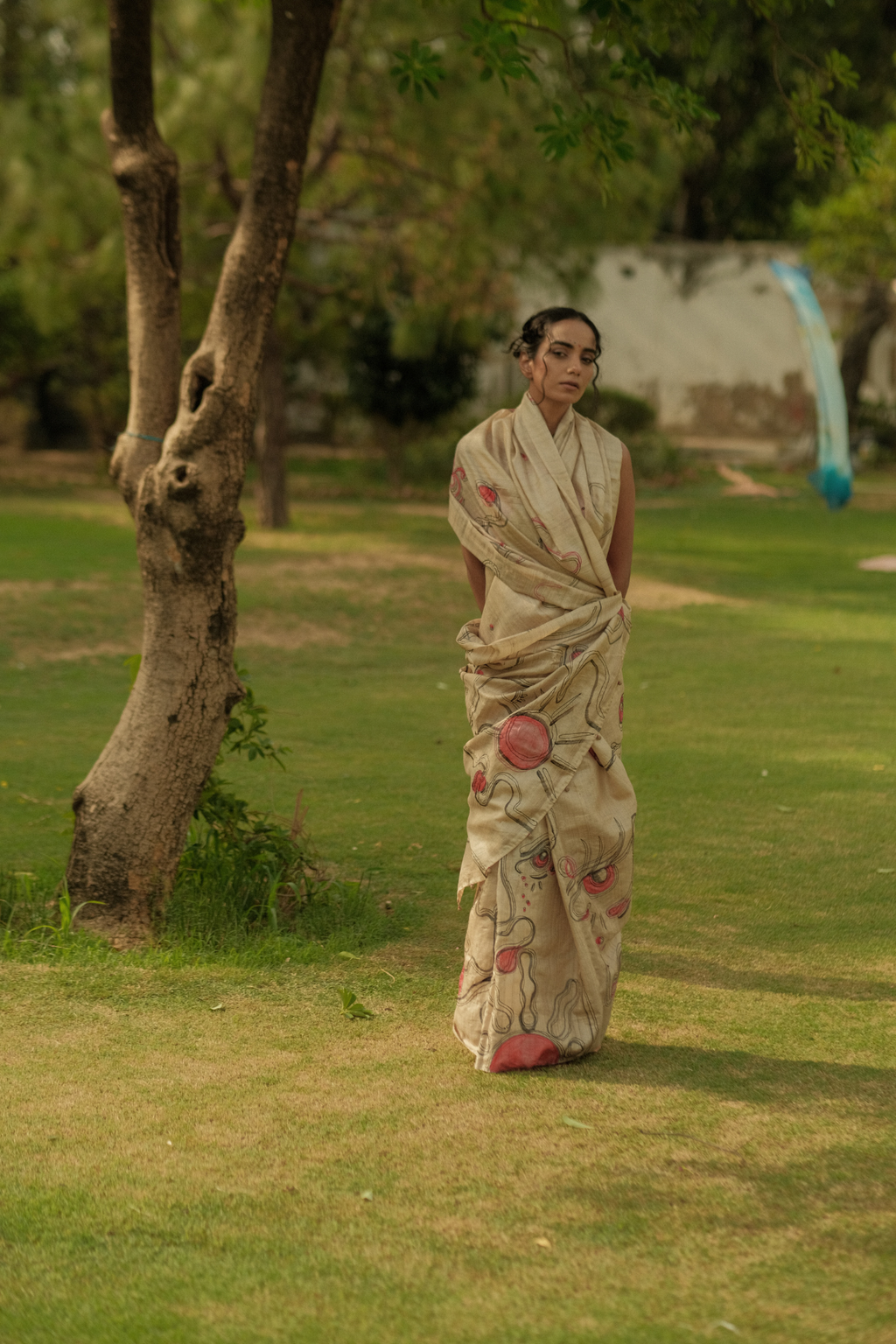 Emotions Saree