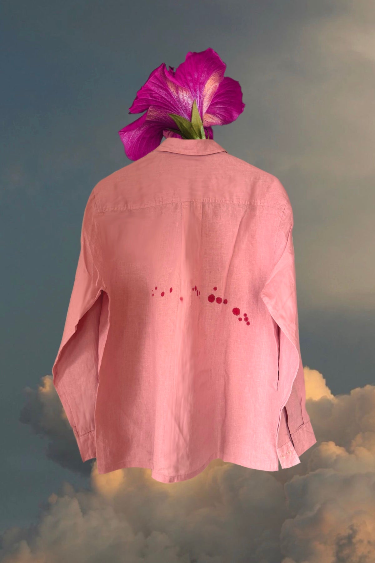 The Hibiscus